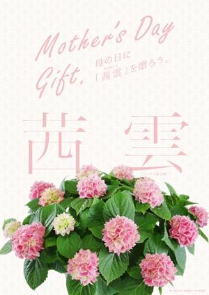 tog_design (tog_design)さんの母の日用アジサイ鉢物品種ポスターデザインへの提案