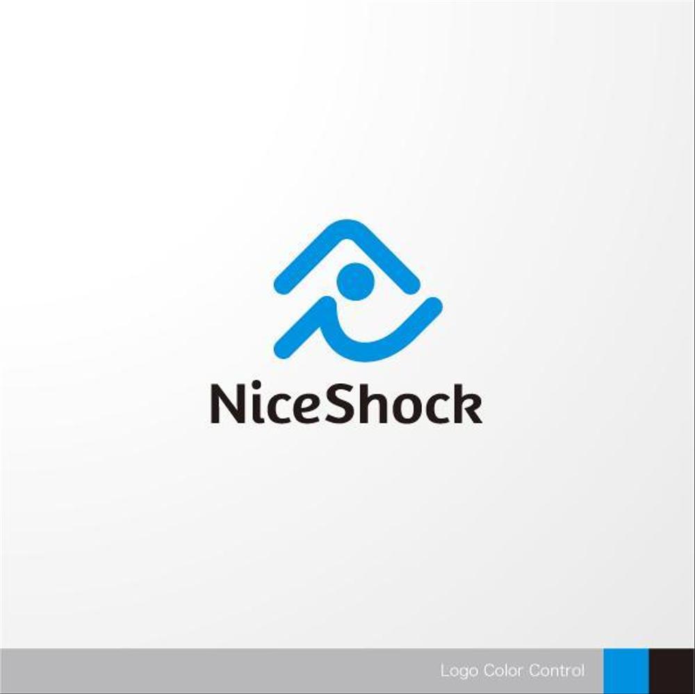 NiceShock-1-1a.jpg