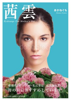 owting (owting)さんの母の日用アジサイ鉢物品種ポスターデザインへの提案