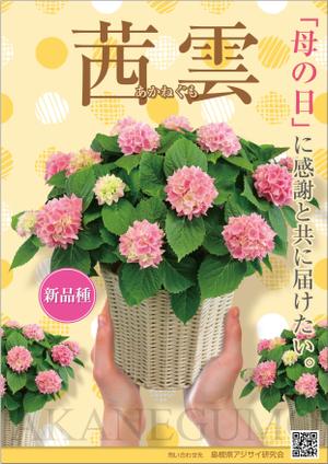 Bucchi (Bucchi)さんの母の日用アジサイ鉢物品種ポスターデザインへの提案