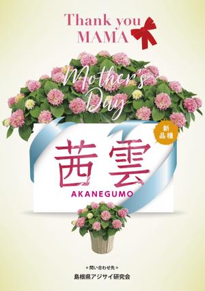deco56 (deco56)さんの母の日用アジサイ鉢物品種ポスターデザインへの提案