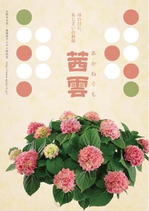 MaxDesign (shojiro)さんの母の日用アジサイ鉢物品種ポスターデザインへの提案