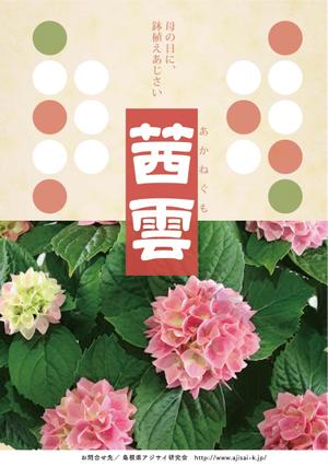 MaxDesign (shojiro)さんの母の日用アジサイ鉢物品種ポスターデザインへの提案