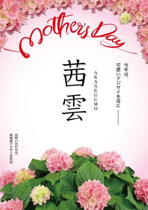 上田 (kanghye18)さんの母の日用アジサイ鉢物品種ポスターデザインへの提案