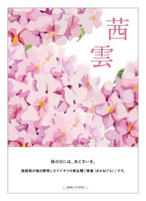 tomida ()さんの母の日用アジサイ鉢物品種ポスターデザインへの提案