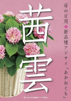 OADSさんの母の日用アジサイ鉢物品種ポスターデザインへの提案