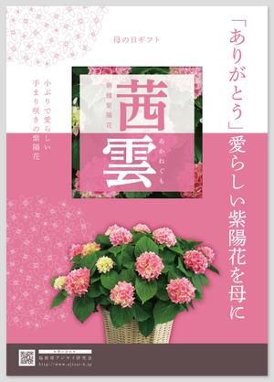 yjmi (yjmi)さんの母の日用アジサイ鉢物品種ポスターデザインへの提案