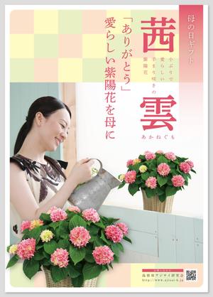 yjmi (yjmi)さんの母の日用アジサイ鉢物品種ポスターデザインへの提案