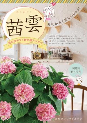 鈴木あずさ (atozstudio)さんの母の日用アジサイ鉢物品種ポスターデザインへの提案