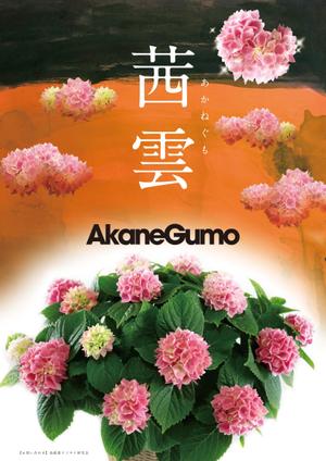 泉 留美 (gugra)さんの母の日用アジサイ鉢物品種ポスターデザインへの提案