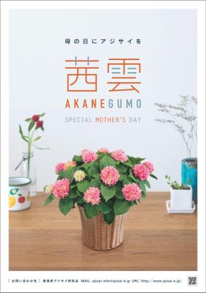 Y design. (mabology)さんの母の日用アジサイ鉢物品種ポスターデザインへの提案