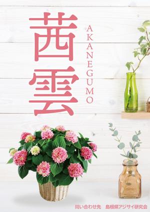 T_kintarou (T_kintarou)さんの母の日用アジサイ鉢物品種ポスターデザインへの提案