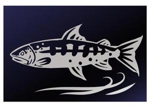 なかえ (shrimptetu)さんのカッティングシート用イラストデザイン（ヤマメ）への提案