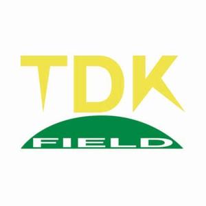 さんの「TDKフィールド」のロゴ作成への提案