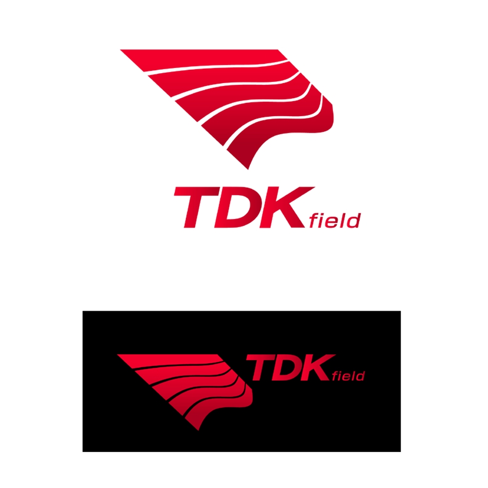 tdk field logo2_serve.jpg