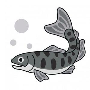 IKUSA(イクサ) (Kawabitaki)さんのカッティングシート用イラストデザイン（ヤマメ）への提案