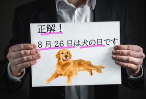 shiki (chiori9)さんの【#はじめてのアドビ 申込者専用コンペ】フォトショップでつくろう！世界犬の日記念写真への提案