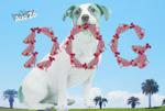 近藤歩 (ayumomope)さんの【#はじめてのアドビ 申込者専用コンペ】フォトショップでつくろう！世界犬の日記念写真への提案