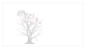 string design (snomil4053)さんの和菓子詰合せ箱用の掛け紙デザインへの提案