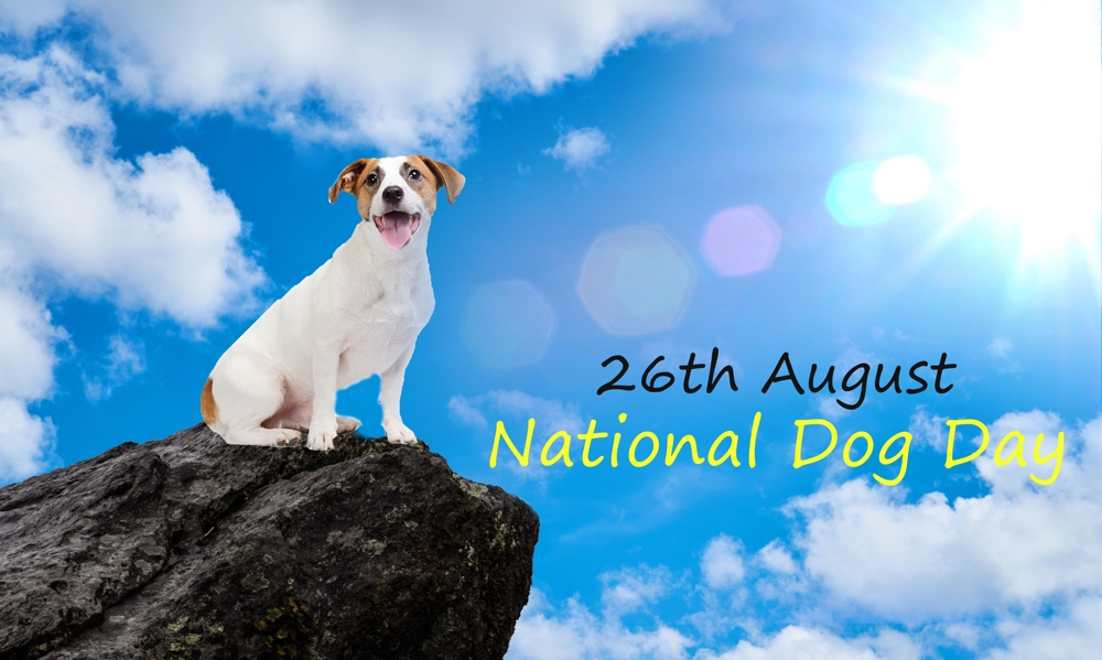 natiional_dog_day.jpg
