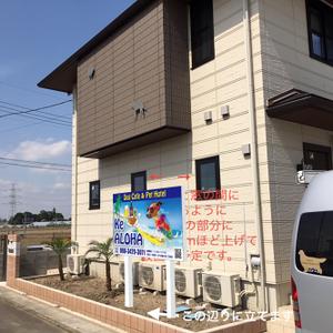 CUBE (machorinko)さんのハワイ をコンセプトにしたドッグカフェ併設のペットホテル 「Ke ALOHA」の看板デザインへの提案