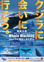 navyblueLABOさんの奄美大島冬季ホエールウォッチング集客ポスターへの提案