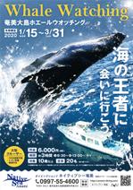 むらかみ (o_lee)さんの奄美大島冬季ホエールウォッチング集客ポスターへの提案