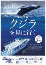 hanako (nishi1226)さんの奄美大島冬季ホエールウォッチング集客ポスターへの提案