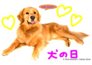 Marina. (kytmnr)さんの【#はじめてのアドビ 申込者専用コンペ】フォトショップでつくろう！世界犬の日記念写真への提案