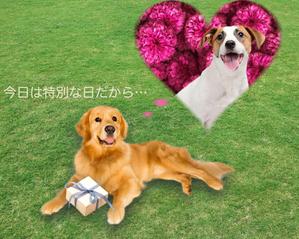 satosato_lc (punitan)さんの【#はじめてのアドビ 申込者専用コンペ】フォトショップでつくろう！世界犬の日記念写真への提案