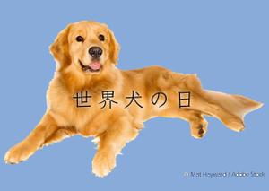 Mayon (Mayon)さんの【#はじめてのアドビ 申込者専用コンペ】フォトショップでつくろう！世界犬の日記念写真への提案