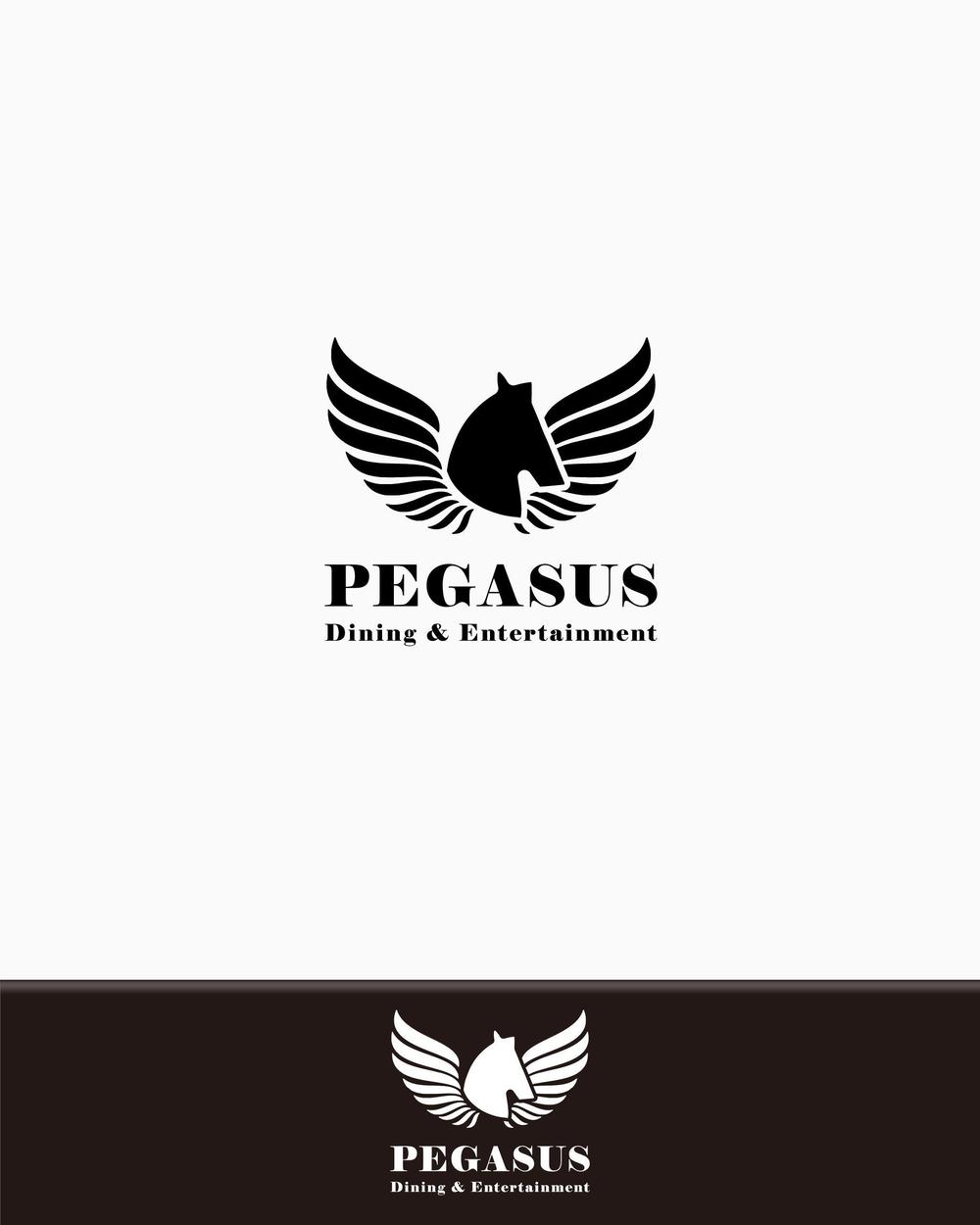 PEGASUS_p2_02.jpg
