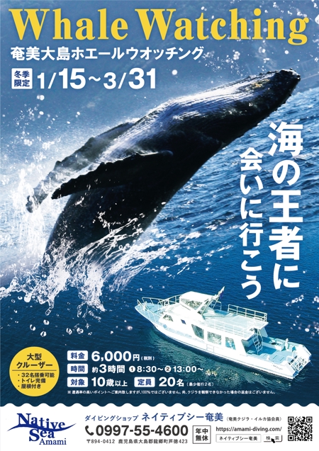 むらかみ (o_lee)さんの奄美大島冬季ホエールウォッチング集客ポスターへの提案