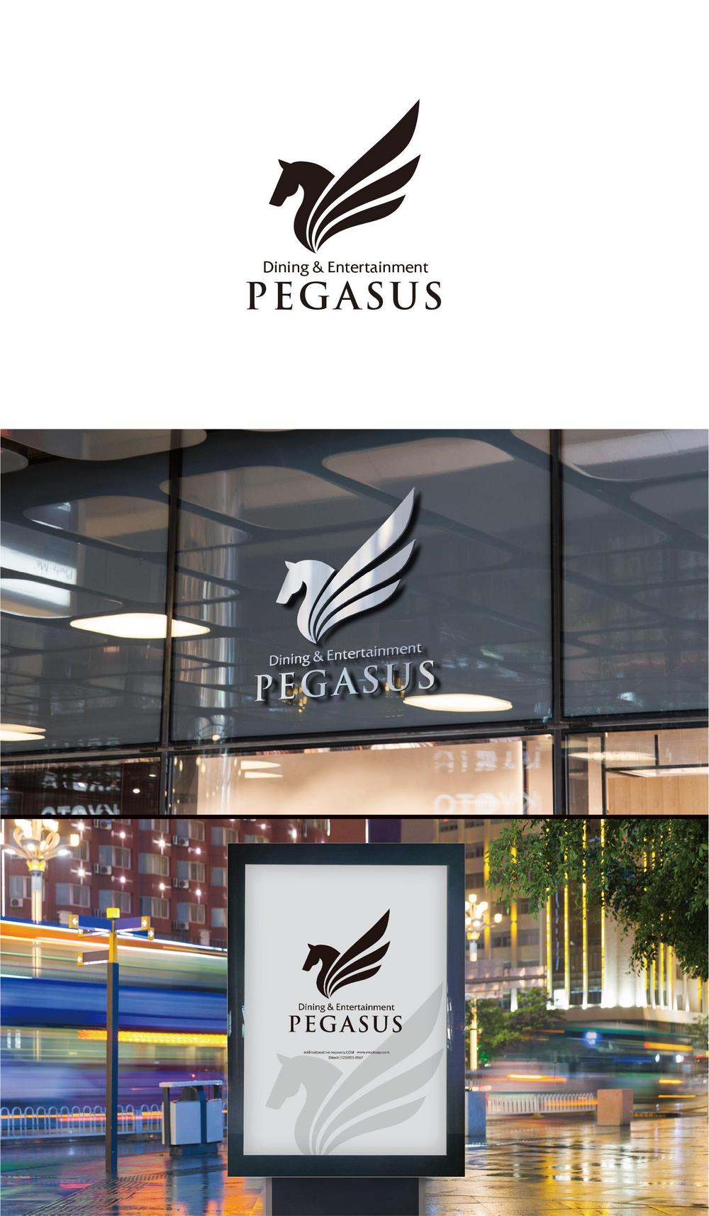 PEGASUS_1.jpg