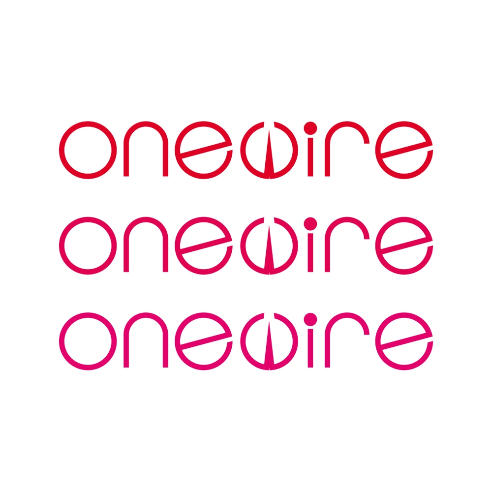 onewire01.jpg