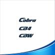 Cobra CB4 CBW-02.jpg