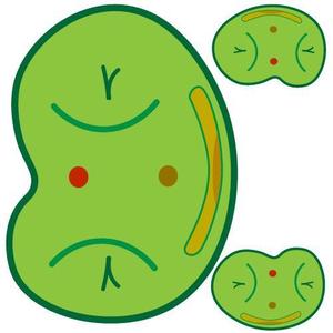 kinoto ()さんの【遊び心求む】「豆」のキャラクターデザイン（シンプル・シュール・ブサイク）『サンプルあり』への提案