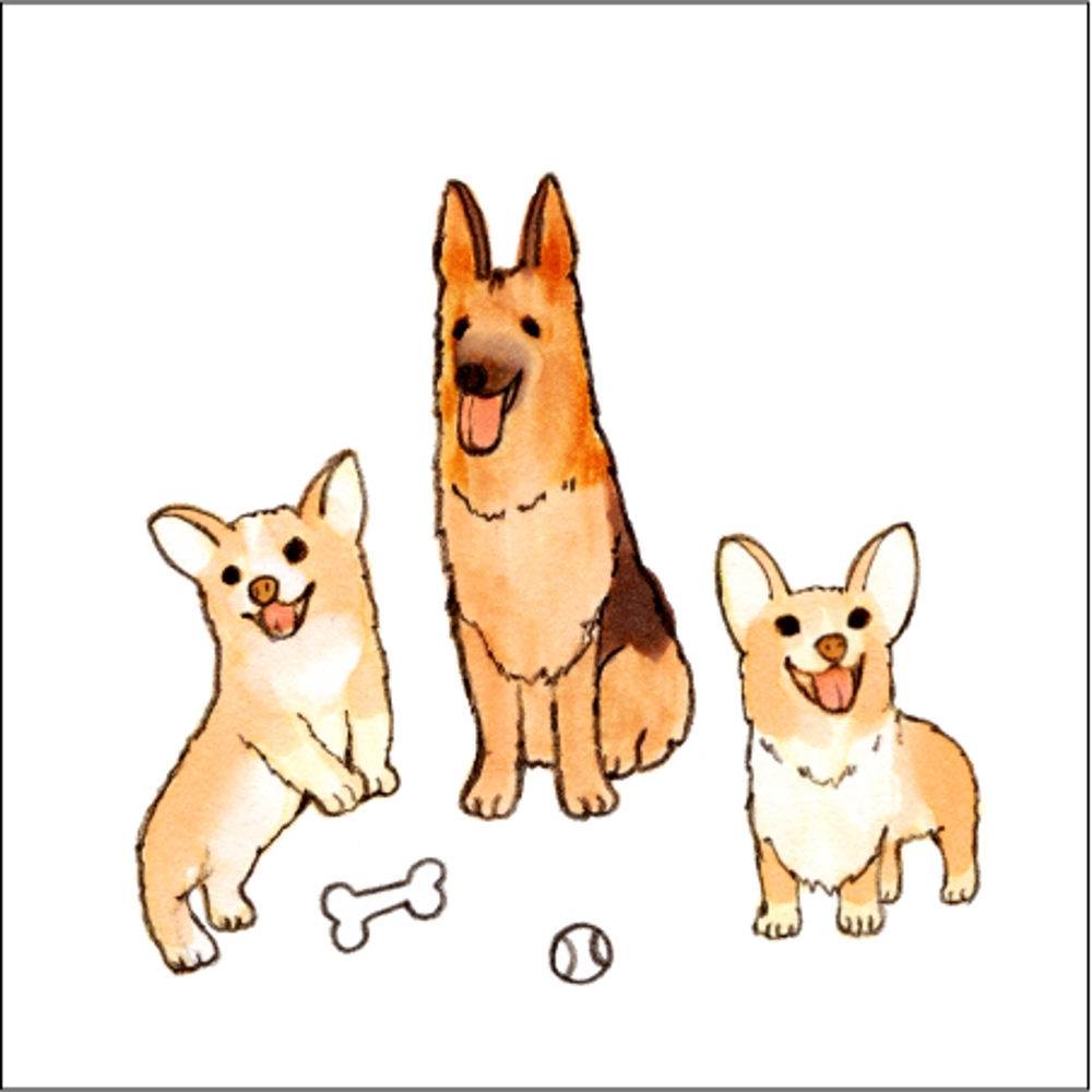 犬三匹.jpg