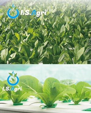 okpro-design (bosama)さんの水耕栽培ブランド「アイエスアグリ」のロゴ制作への提案