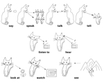 MonBrilla (MonBrilla)さんの英語の教材風の猫のイラストを描いてほしい(具体的なイメージあり)への提案