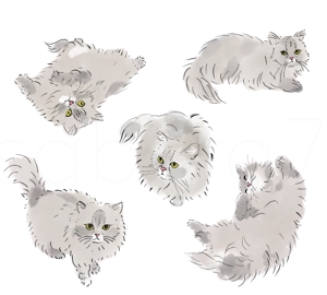 sabuta (sabuta7)さんの猫のイラスト５種類　キャラクターデザインへの提案