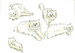 小田　一郎 (ichannel16)さんの猫のイラスト５種類　キャラクターデザインへの提案