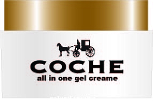 FoolishScissorsさんの化粧品オールインワンジェルクリーム「COCHE(コーチェ）」のロゴ作成への提案