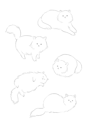近記美里 (mijico)さんの猫のイラスト５種類　キャラクターデザインへの提案