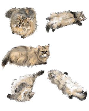 ZENZO ()さんの猫のイラスト５種類　キャラクターデザインへの提案