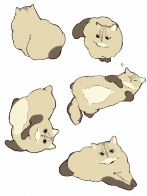 マキ (snpi3)さんの猫のイラスト５種類　キャラクターデザインへの提案