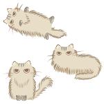 リンゴアザラシ (ringoazarashi)さんの猫のイラスト５種類　キャラクターデザインへの提案