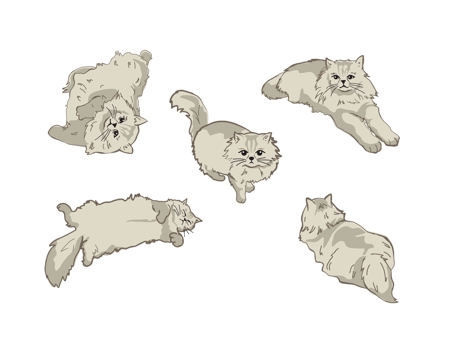 Hanaraseoさんの事例 実績 提案 猫のイラスト５種類 キャラクターデザイン はじめまして グラフ クラウドソーシング ランサーズ