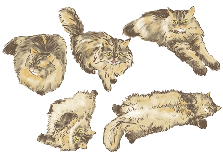 猫のイラスト５種類 キャラクターデザインの依頼 外注 キャラクターデザイン 制作 募集の仕事 副業 クラウドソーシング ランサーズ Id