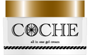 Fleur_2012さんの化粧品オールインワンジェルクリーム「COCHE(コーチェ）」のロゴ作成への提案